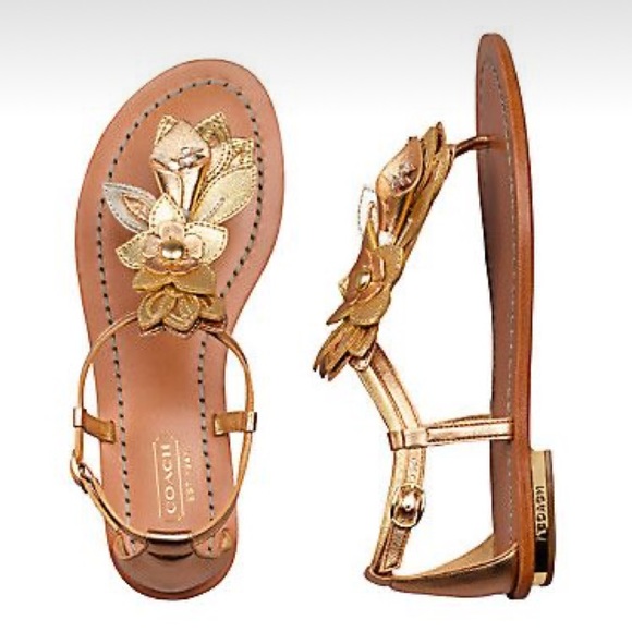 Coach Shoes - Coach Sierra sz 8 gold leather floral design sandals